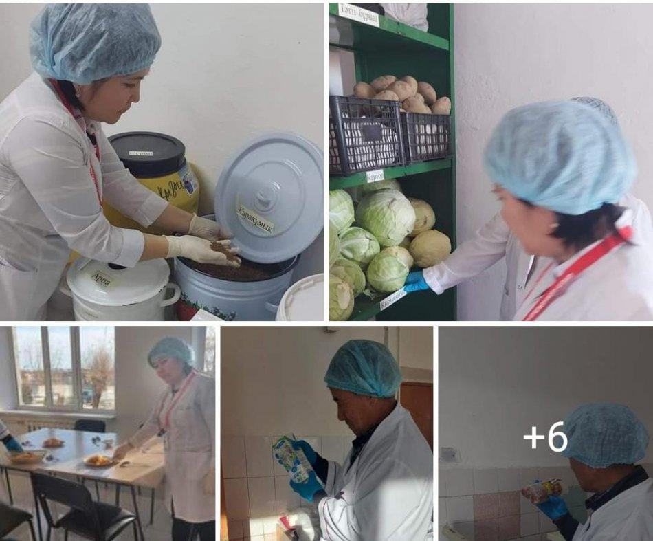 Мониторинг бақылау жүргізу