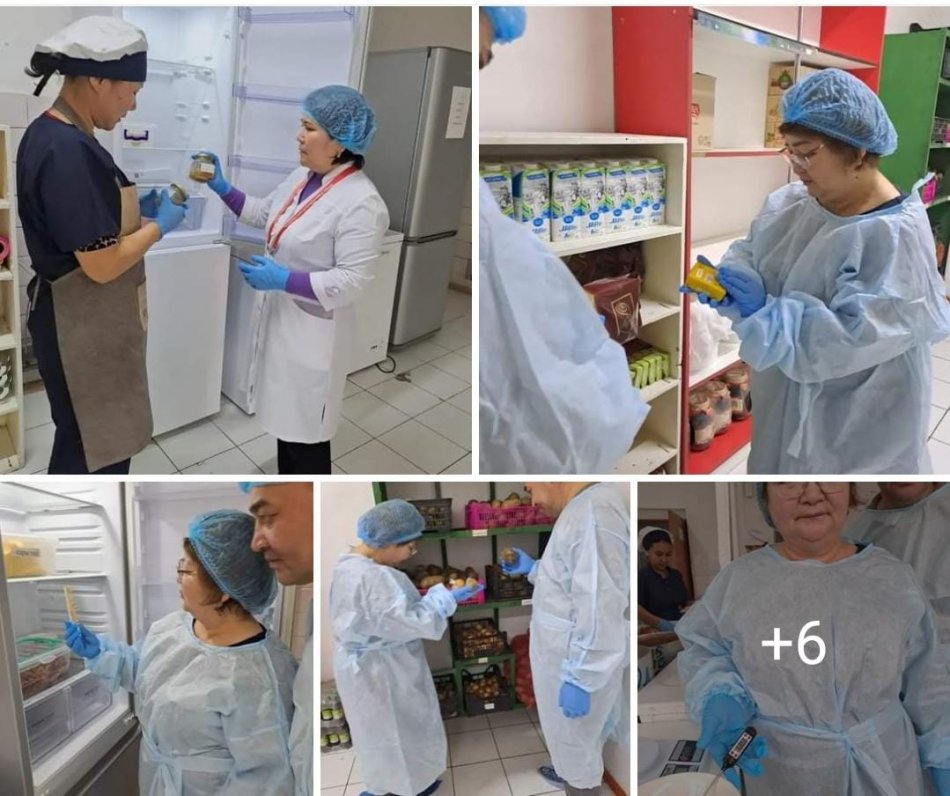 Желтоқсан айындағы кезекті мониторинг